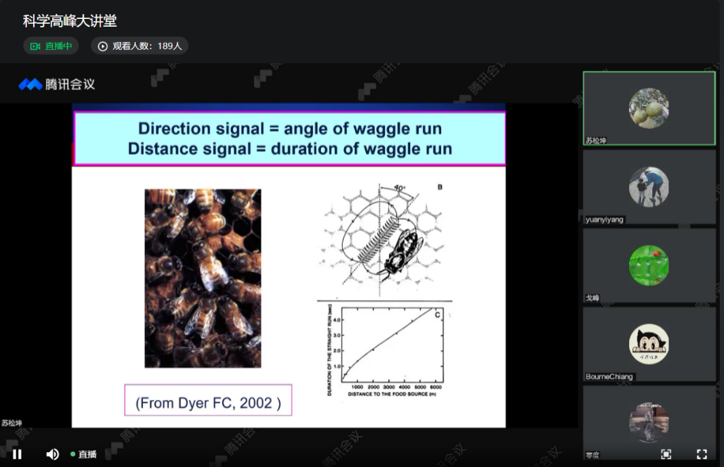 44e78c7d26634fd1bd82bce62c00fcc9.png